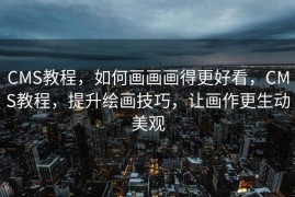 CMS教程，如何画画画得更好看，CMS教程，提升绘画技巧，让画作更生动美观