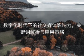 数字化时代下的社交媒体影响力，关键词解析与应用策略