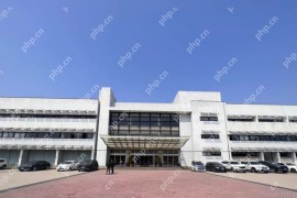 因业绩信披违规，众泰汽车收警示函