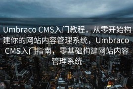 Umbraco CMS入门教程，从零开始构建你的网站内容管理系统，Umbraco CMS入门指南，零基础构建网站内容管理系统