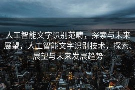 人工智能文字识别范畴，探索与未来展望，人工智能文字识别技术，探索、展望与未来发展趋势