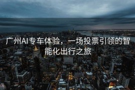 广州AI专车体验，一场投票引领的智能化出行之旅