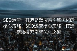 SEO运营，打造高效搜索引擎优化的核心策略，SEO运营核心策略，打造高效搜索引擎优化之道