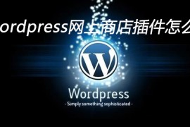 wordpress网上商店插件怎么用
