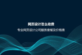 网页设计怎么收费？专业网页设计公司服务套餐及价格表-2025最新seo资料