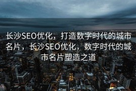 长沙SEO优化，打造数字时代的城市名片，长沙SEO优化，数字时代的城市名片塑造之道
