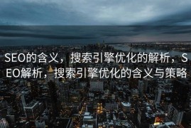 SEO的含义，搜索引擎优化的解析，SEO解析，搜索引擎优化的含义与策略