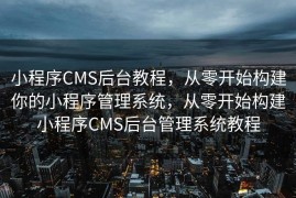 小程序CMS后台教程，从零开始构建你的小程序管理系统，从零开始构建小程序CMS后台管理系统教程