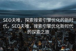SEO夫唯，探索搜索引擎优化的新时代，SEO夫唯，搜索引擎优化新时代的探索之旅