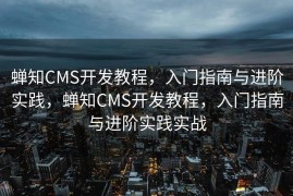 蝉知CMS开发教程，入门指南与进阶实践，蝉知CMS开发教程，入门指南与进阶实践实战