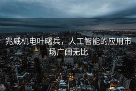 兆威机电叶曙兵，人工智能的应用市场广阔无比