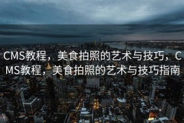 CMS教程，美食拍照的艺术与技巧，CMS教程，美食拍照的艺术与技巧指南
