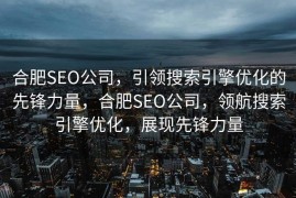 合肥SEO公司，引领搜索引擎优化的先锋力量，合肥SEO公司，领航搜索引擎优化，展现先锋力量