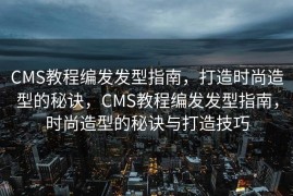 CMS教程编发发型指南，打造时尚造型的秘诀，CMS教程编发发型指南，时尚造型的秘诀与打造技巧