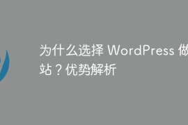 为什么选择 WordPress 做网站？优势解析