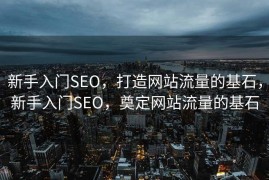 新手入门SEO，打造网站流量的基石，新手入门SEO，奠定网站流量的基石