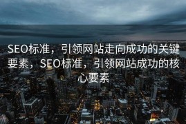 SEO标准，引领网站走向成功的关键要素，SEO标准，引领网站成功的核心要素