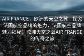 AIR FRANCE，欧洲的天空之翼—探究法国航空品牌的魅力，法国航空品牌魅力揭秘，欧洲天空之翼AIR FRANCE的传奇之旅