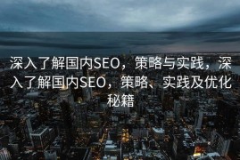 深入了解国内SEO，策略与实践，深入了解国内SEO，策略、实践及优化秘籍