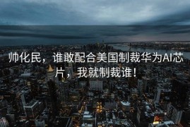 帅化民，谁敢配合美国制裁华为AI芯片，我就制裁谁！