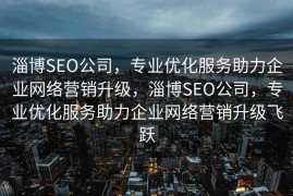 淄博SEO公司，专业优化服务助力企业网络营销升级，淄博SEO公司，专业优化服务助力企业网络营销升级飞跃