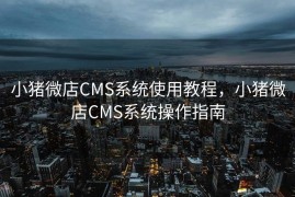 小猪微店CMS系统使用教程，小猪微店CMS系统操作指南