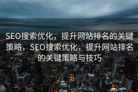 SEO搜索优化，提升网站排名的关键策略，SEO搜索优化，提升网站排名的关键策略与技巧