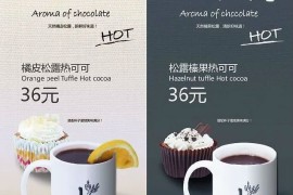 巧克力咖啡海报包装及品牌网站设计作品欣赏-2025最新seo资料