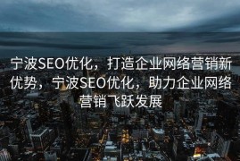宁波SEO优化，打造企业网络营销新优势，宁波SEO优化，助力企业网络营销飞跃发展