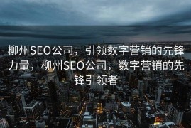 柳州SEO公司，引领数字营销的先锋力量，柳州SEO公司，数字营销的先锋引领者