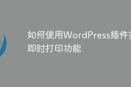 如何使用WordPress插件实现即时打印功能