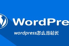 wordpress怎么当站长