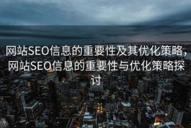 网站SEO信息的重要性及其优化策略，网站SEO信息的重要性与优化策略探讨