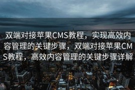 双端对接苹果CMS教程，实现高效内容管理的关键步骤，双端对接苹果CMS教程，高效内容管理的关键步骤详解