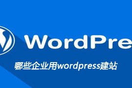 哪些企业用wordpress建站