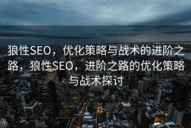 狼性SEO，优化策略与战术的进阶之路，狼性SEO，进阶之路的优化策略与战术探讨