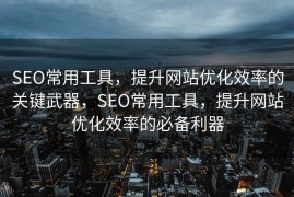 SEO常用工具，提升网站优化效率的关键武器，SEO常用工具，提升网站优化效率的必备利器