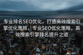 专业排名SEO优化，打造高效搜索引擎优化策略，专业SEO优化策略，高效搜索引擎排名提升之道