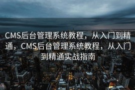 CMS后台管理系统教程，从入门到精通，CMS后台管理系统教程，从入门到精通实战指南