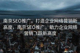 南京SEO推广，打造企业网络营销新高度，南京SEO推广，助力企业网络营销飞跃新高度