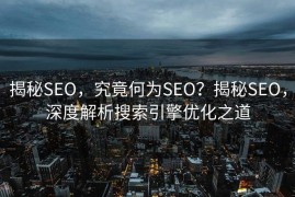 揭秘SEO，究竟何为SEO？揭秘SEO，深度解析搜索引擎优化之道