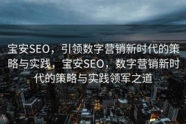 宝安SEO，引领数字营销新时代的策略与实践，宝安SEO，数字营销新时代的策略与实践领军之道