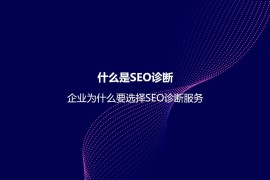 什么是SEO诊断？企业为什么要选择SEO诊断服务-2025最新seo资料