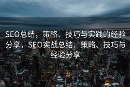 SEO总结，策略、技巧与实践的经验分享，SEO实战总结，策略、技巧与经验分享