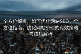 全方位解析，如何优化网站SEO，全方位指南，优化网站SEO的有效策略与技巧解析