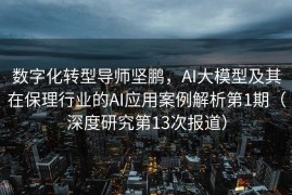 数字化转型导师坚鹏，AI大模型及其在保理行业的AI应用案例解析第1期（深度研究第13次报道）