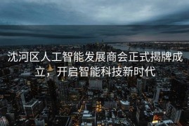 沈河区人工智能发展商会正式揭牌成立，开启智能科技新时代