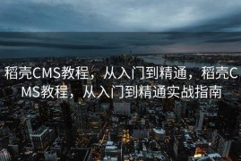 稻壳CMS教程，从入门到精通，稻壳CMS教程，从入门到精通实战指南