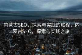 内蒙古SEO，探索与实践的旅程，内蒙古SEO，探索与实践之旅