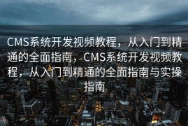 CMS系统开发视频教程，从入门到精通的全面指南，CMS系统开发视频教程，从入门到精通的全面指南与实操指南